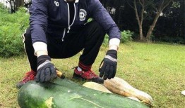 山南以北的瓜最新爆料,揭秘瓜王争霸背后的秘密